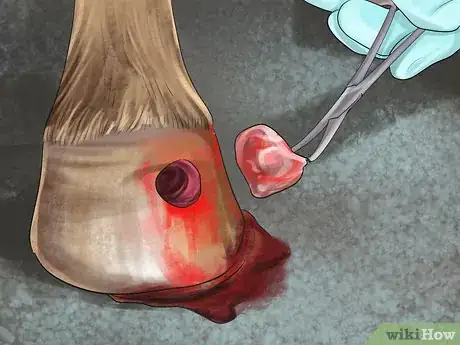 Imagen titulada Treat a Hoof Abscess in Horses Step 8