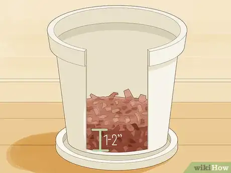 Imagen titulada Save an Overwatered Plant Step 14
