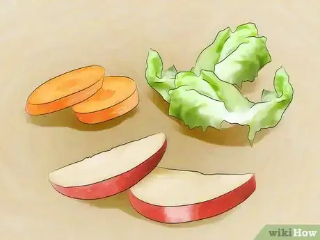 Imagen titulada Care for Live Crickets for Reptiles Step 5