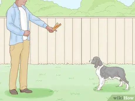 Imagen titulada Stop a Dog from Humping Step 10