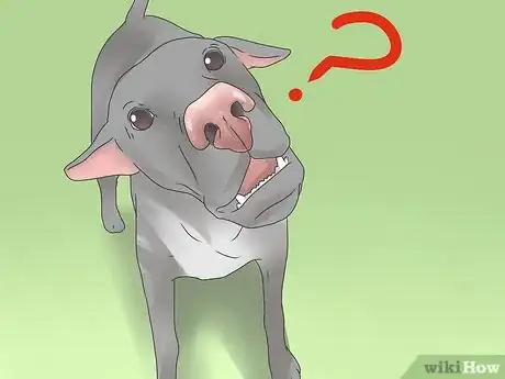 Imagen titulada Spot Dog Seizure Symptoms Step 5
