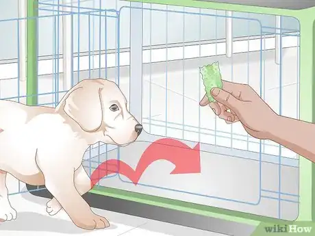 Imagen titulada Get Your Puppy To Sleep in Its Own Bed Step 4