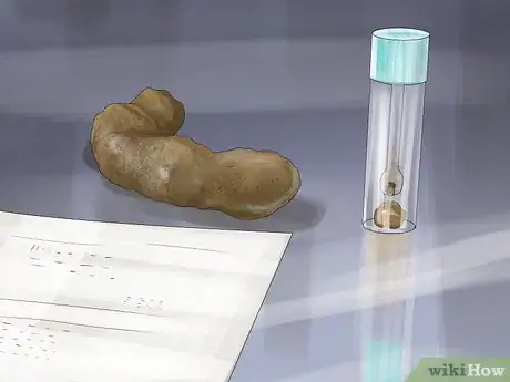 Imagen titulada Help Your Cat Who Had a Miscarriage Step 11