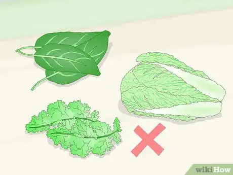 Imagen titulada Feed a Red‐Eared Slider Turtle Step 2