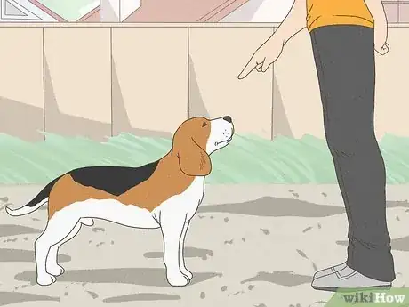 Imagen titulada Tell Your Dog No Step 6