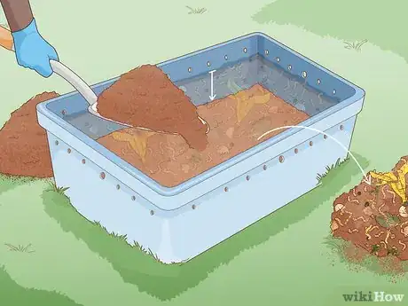 Imagen titulada Grow Your Own Fishing Worms Step 11