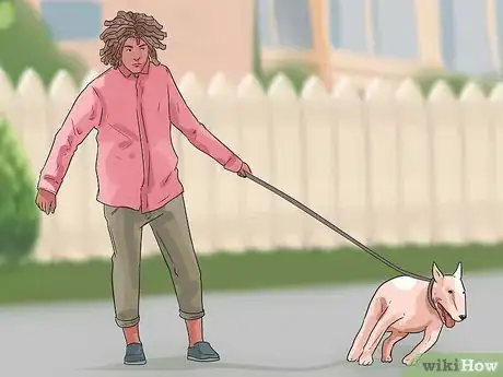 Imagen titulada Stop a Dog from Killing Squirrels Step 7