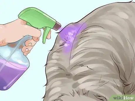 Imagen titulada Dye a Dog's Fur Step 12