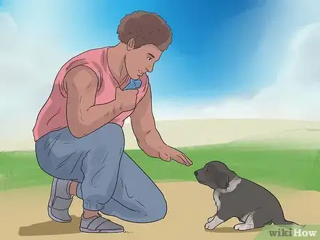 Imagen titulada Train Border Collies Step 18