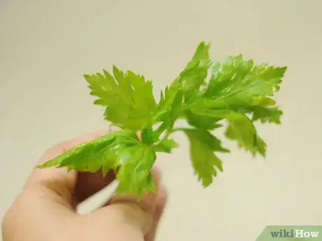 Imagen titulada Use Celery Step 6