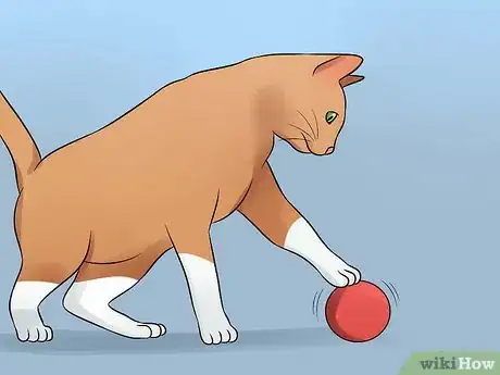 Imagen titulada Help Your Depressed Cat Step 6