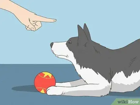 Imagen titulada Care for a Sick Dog Step 7