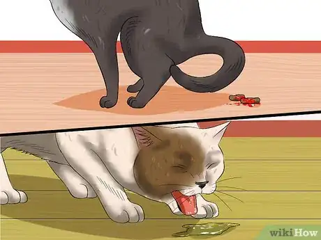 Imagen titulada Treat Feline Panleukopenia (Distemper) Step 2