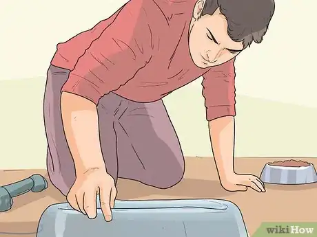 Imagen titulada Introduce a New Puppy Step 5