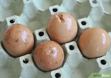 Imagen titulada Store Eggs Step 8