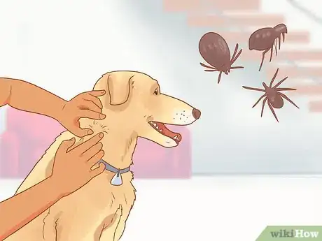Imagen titulada Introduce a Dog to a Dog Park Step 6