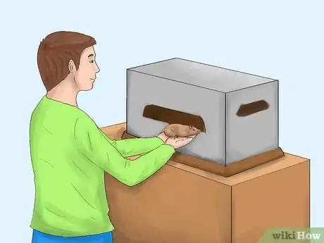 Imagen titulada Get Rid of Tropical Rat Mites on Pet Rats Step 4