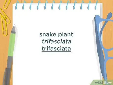 Imagen titulada Write a Scientific Name Step 2