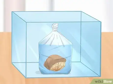 Imagen titulada Care for a Marine Hermit Crab Step 5
