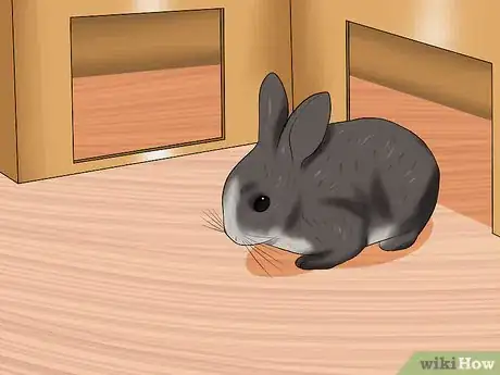 Imagen titulada Build a Maze for Your Rabbit Step 11