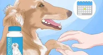 aliviar la piel seca en los perros