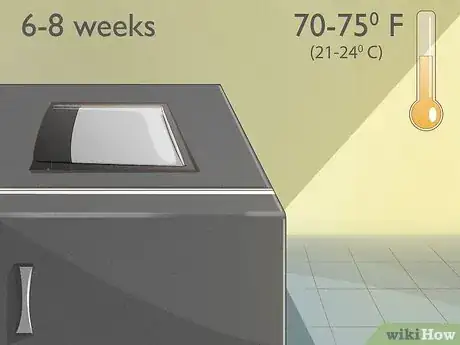 Imagen titulada Plant Date Seeds Step 6