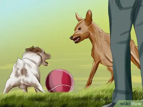 Imagen titulada Introduce a Puppy to a Dog Step 5