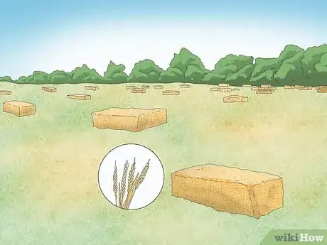 Imagen titulada Start a Ranch Step 6