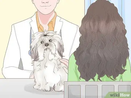 Imagen titulada Stop a Dog from Humping Step 15