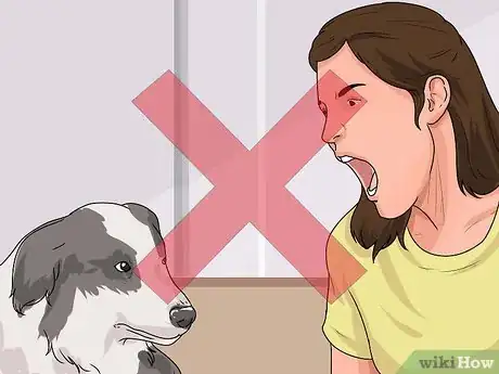 Imagen titulada Teach a Dog to Smile Step 9