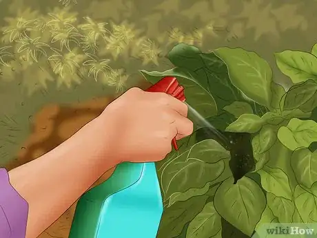 Imagen titulada Care for a Skunk Sprayed Dog Step 15
