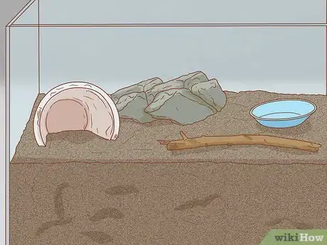 Imagen titulada Set Up a Natural Environment for Pet Snails Step 5
