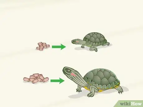 Imagen titulada Feed a Red‐Eared Slider Turtle Step 3