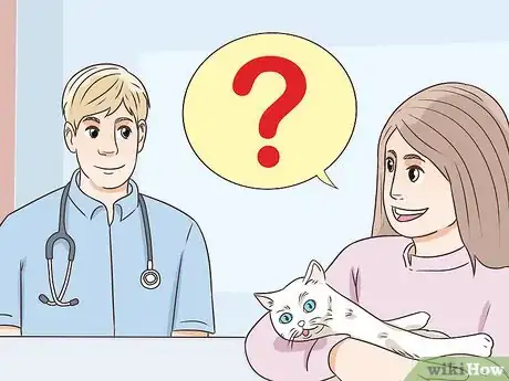 Imagen titulada Feed a Diabetic Cat Step 5