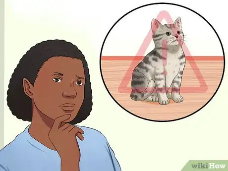 Imagen titulada Treat Feline Panleukopenia (Distemper) Step 14