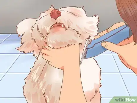 Imagen titulada Take Care of a West Highland White Terrier Step 6