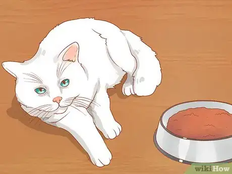 Imagen titulada Diagnose and Treat Gingivitis in Cats Step 3