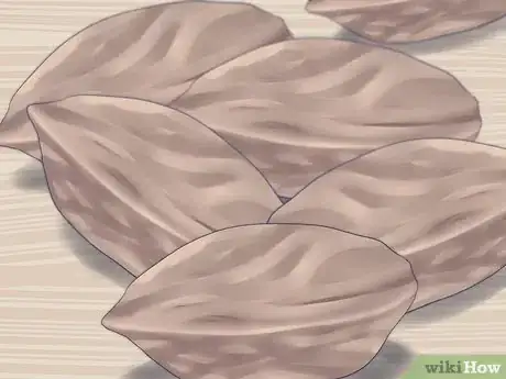 Imagen titulada Plant a Plum Seed Step 6