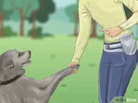 Imagen titulada Recognize Fear in Dogs Step 16