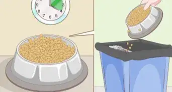 guardar la comida para perros