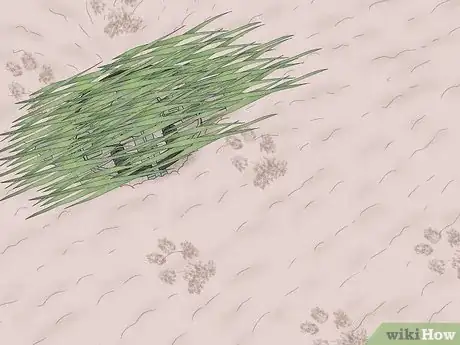 Imagen titulada Make a Coyote Trap Step 14