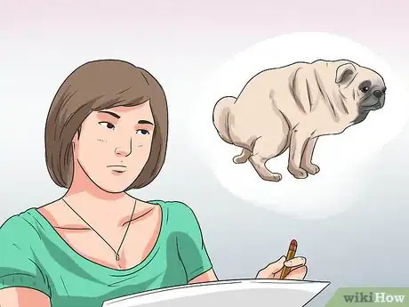Imagen titulada Train Pugs Step 7