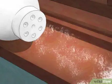Imagen titulada Kill Fleas and Ticks in Your Home Step 6