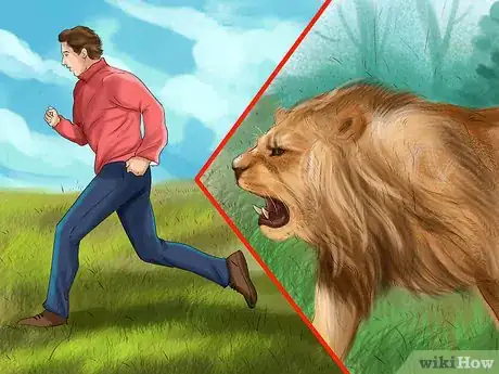 Imagen titulada Survive a Lion Attack Step 2