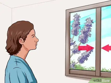 Imagen titulada Treat Hives Naturally Step 3
