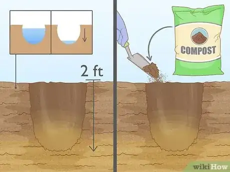 Imagen titulada Plant Sunflower Seeds Step 7