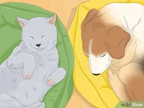 Imagen titulada Make Your Dog Stop Sleeping in Your Bed Step 14