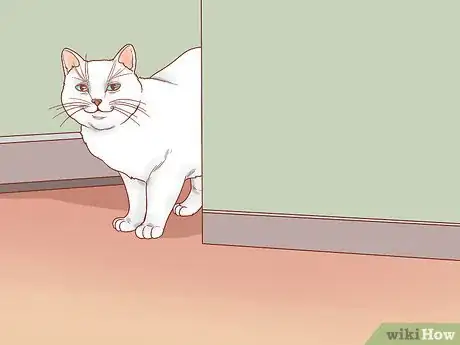 Imagen titulada Reduce Stress in Cats Step 7