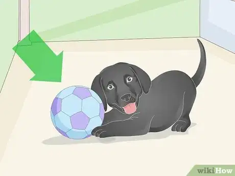 Imagen titulada Get a Puppy to Sleep Step 1