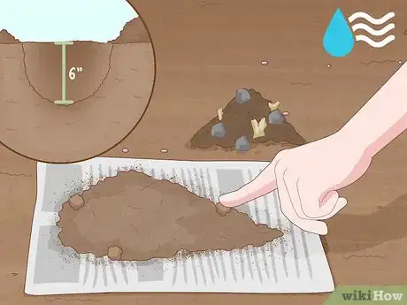 Imagen titulada Improve Soil Step 11